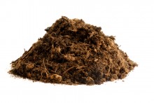 BioActive Compost