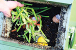compost_steps_1_web.jpg