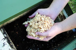 compost_steps_2_web.jpg