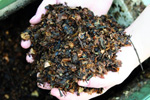 compost_steps_3_web.jpg